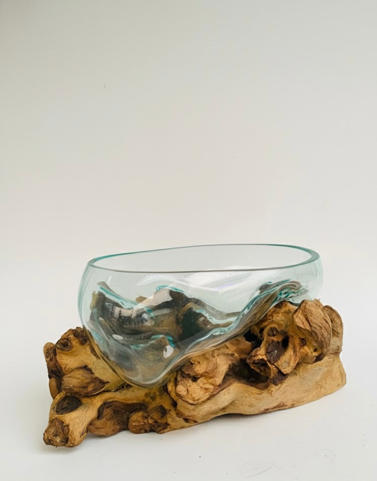 Molten Glass on teak Driftwood-Oceanbowl(large)