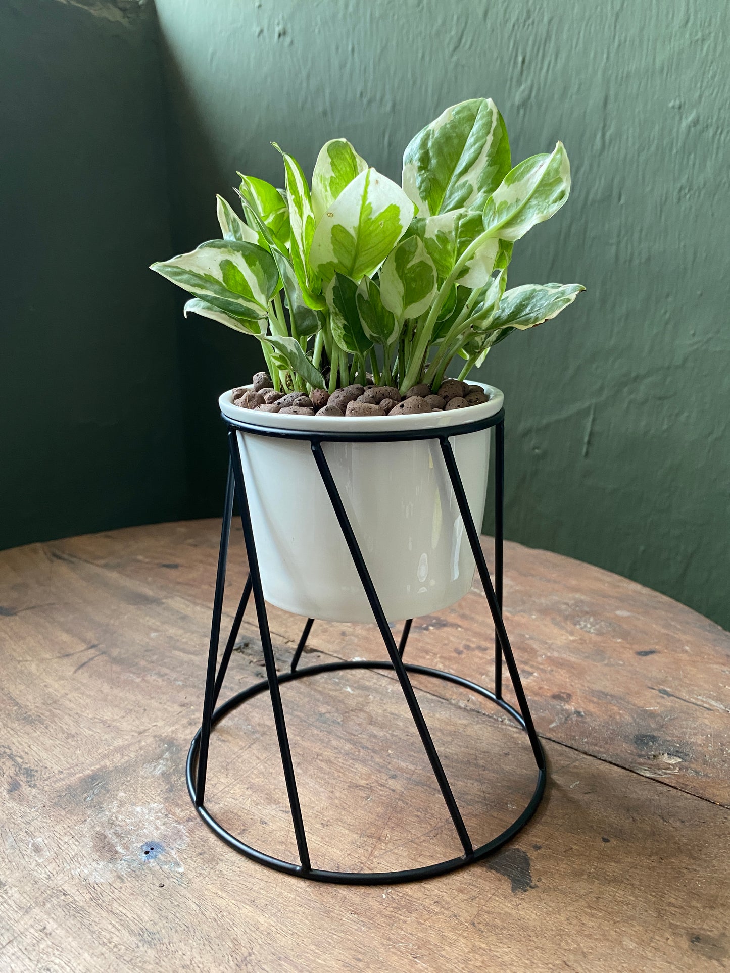 White ceramic planter with metallic stand