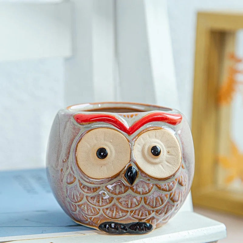 Owl themed ceramic Pots (SET OF 6)