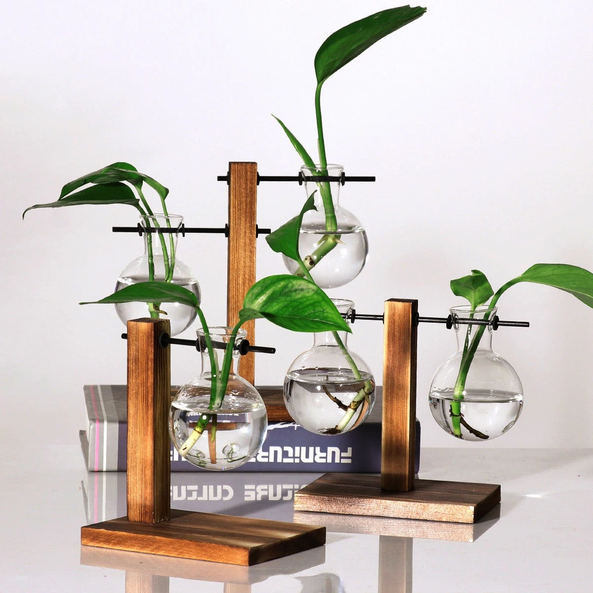 Test tube planters🧪