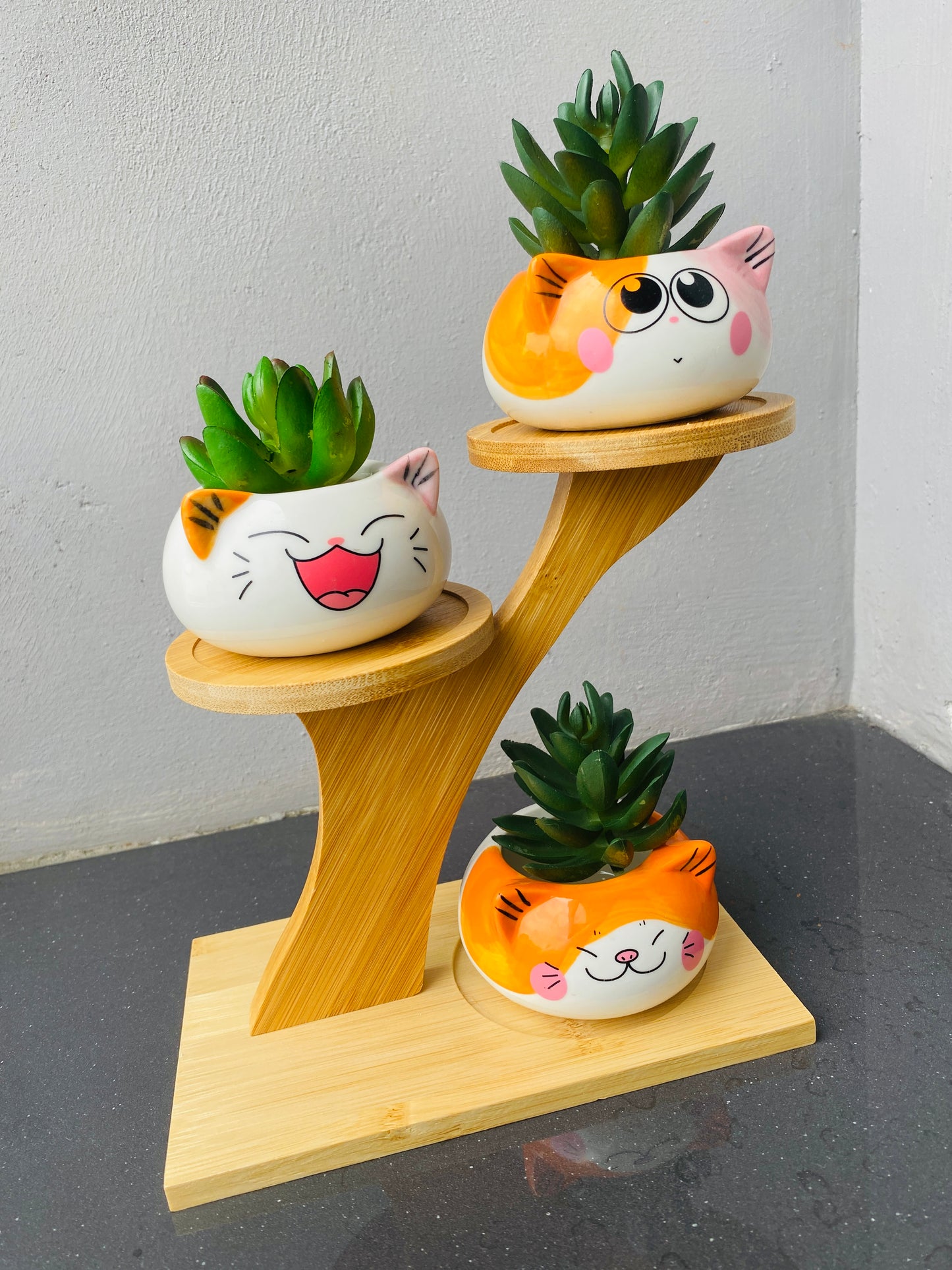 3 Cute Cat Ceramic Planters with Artificial Succulents & Diy Wooden Stand for Desk, Home & Office Table Decoration Gift Set