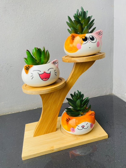 3 Cute Cat Ceramic Planters with Artificial Succulents & Diy Wooden Stand for Desk, Home & Office Table Decoration Gift Set