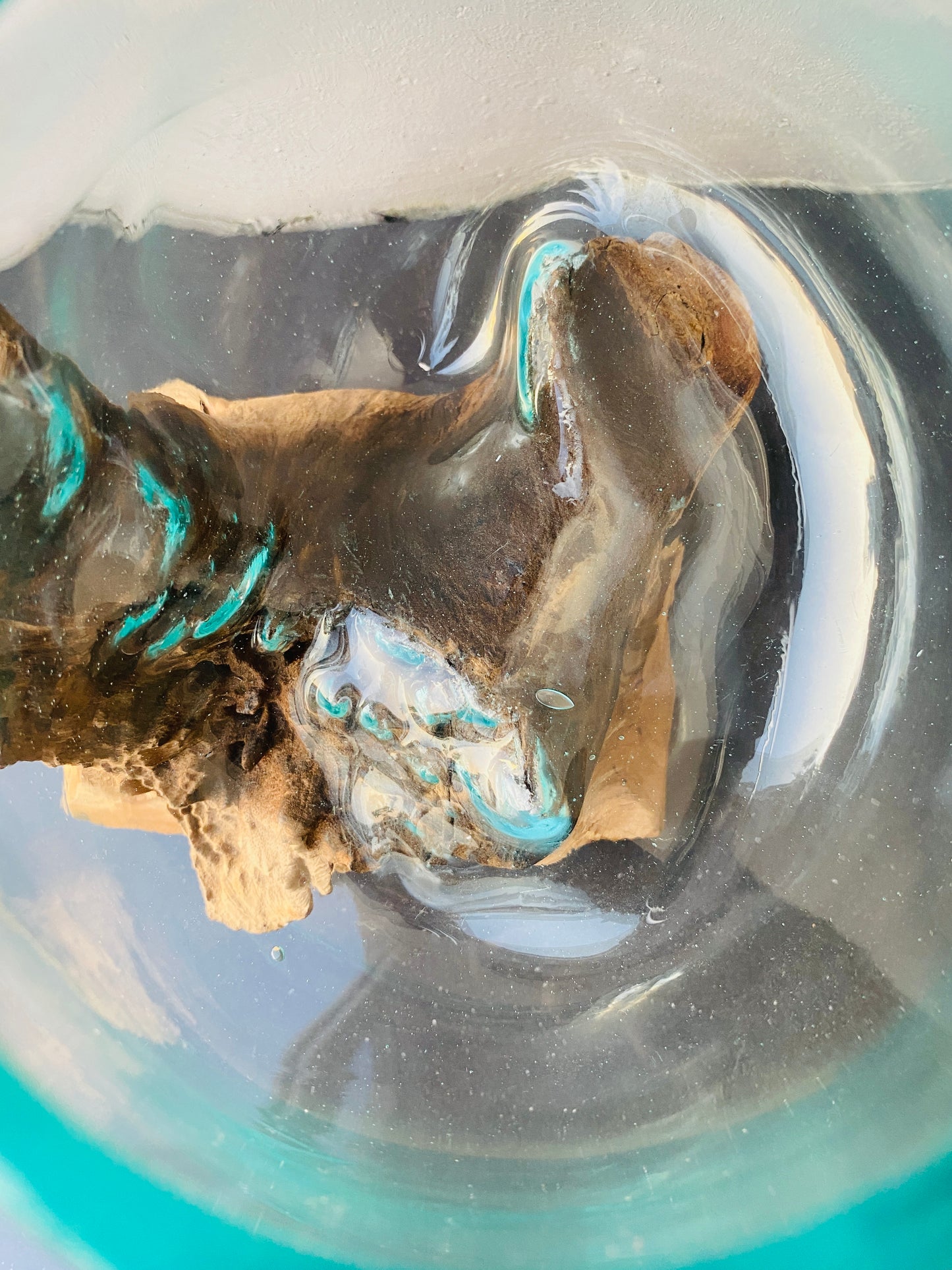 Molten Glass on polished teak Driftwood(rare limited edition)