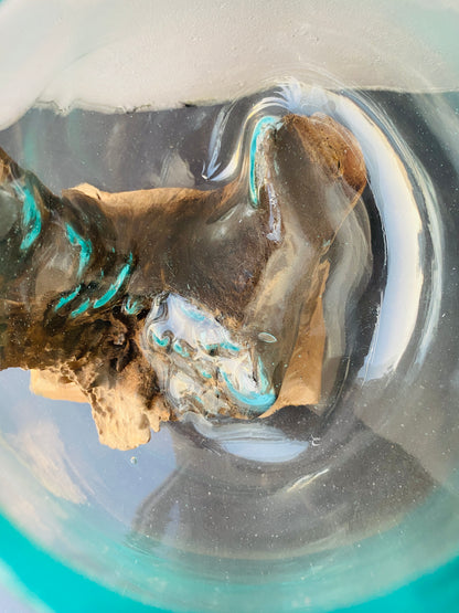 Molten Glass on polished teak Driftwood(rare limited edition)