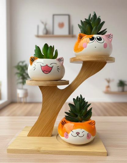 3 Cute Cat Ceramic Planters with Artificial Succulents & Diy Wooden Stand for Desk, Home & Office Table Decoration Gift Set