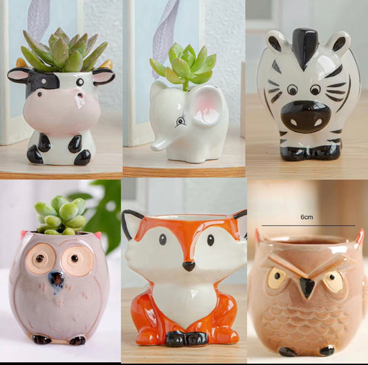 animal ceramic planter combos