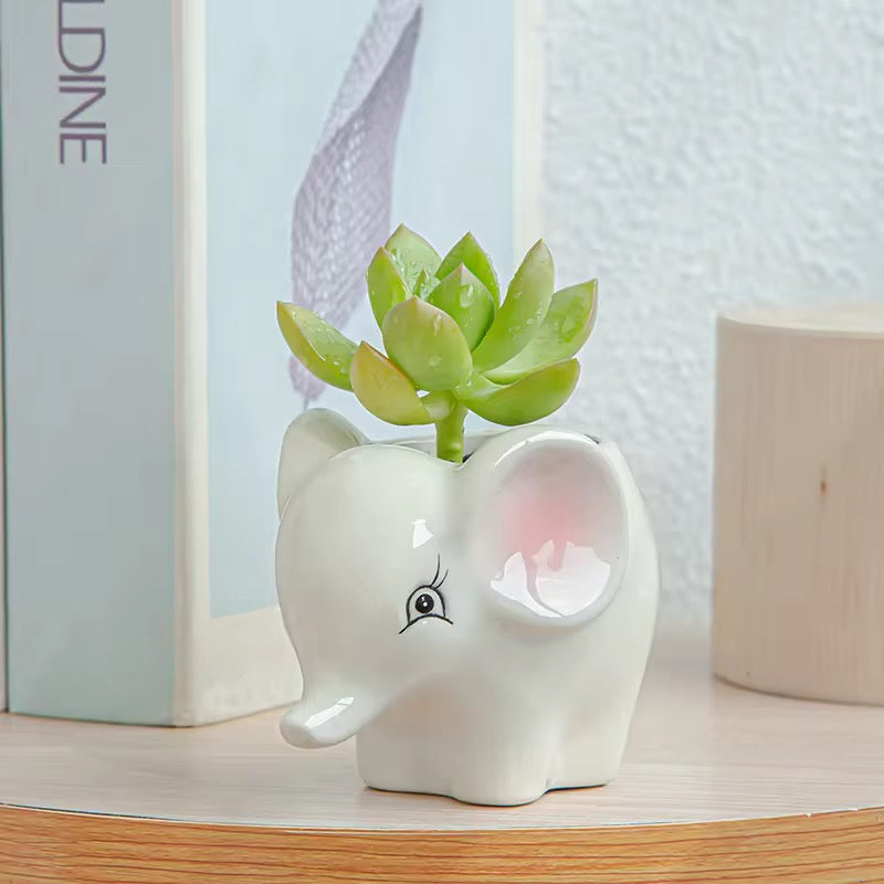 animal ceramic planter combos