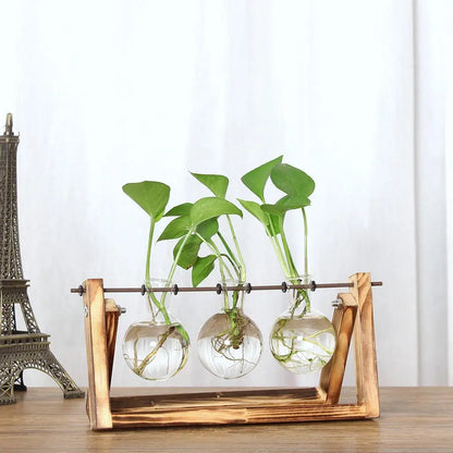 Test tube planter 06