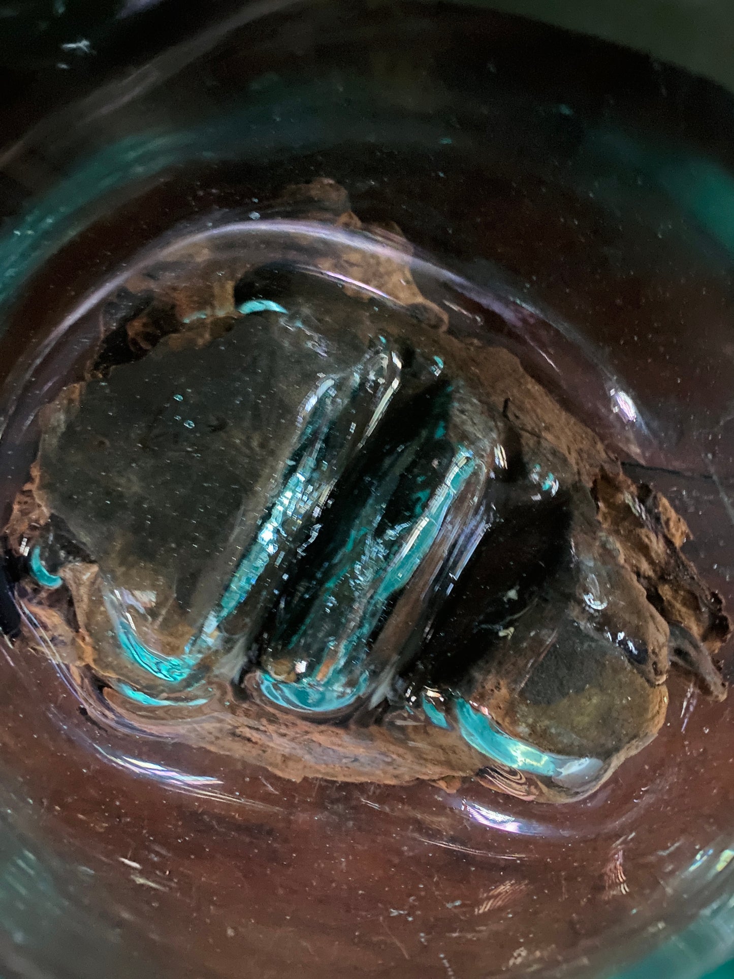 Wavecrest Molten Glass on Driftwood-Model 16