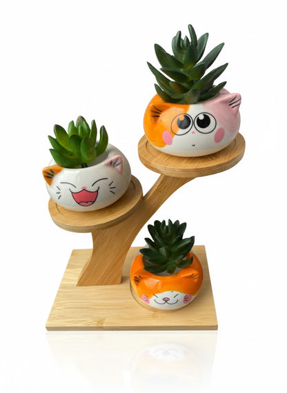 3 Cute Cat Ceramic Planters with Artificial Succulents & Diy Wooden Stand for Desk, Home & Office Table Decoration Gift Set