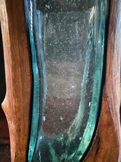 Small Molten Glass on natural Driftwood-forestwall