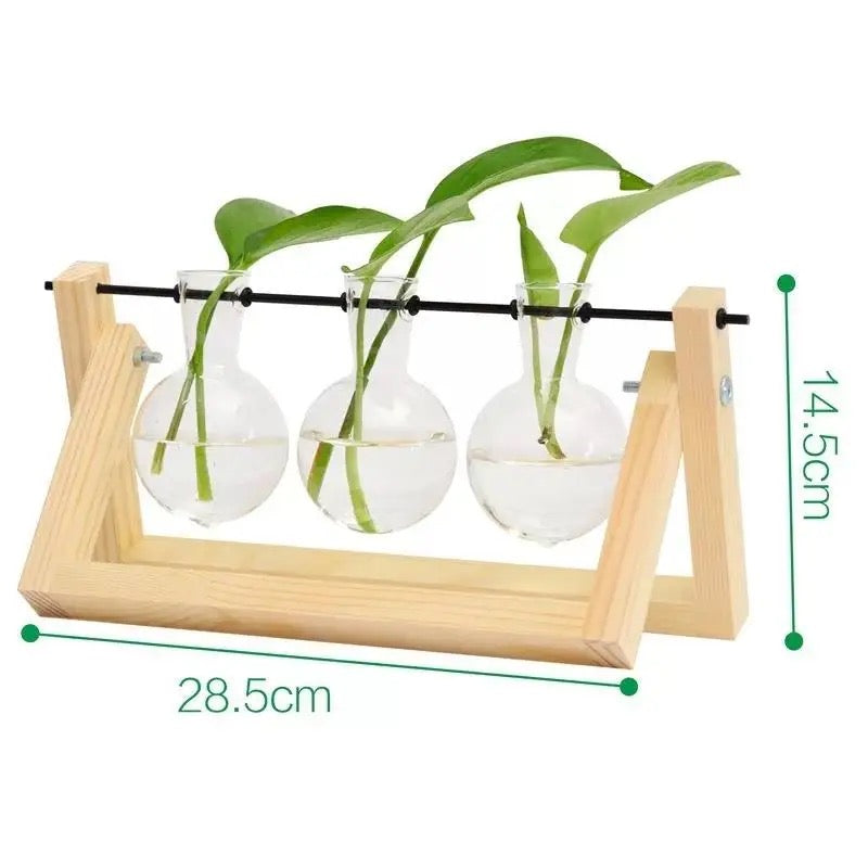 Test tube planter 07