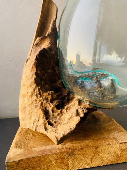 Molten Glass on polished teak Driftwood(rare limited edition)