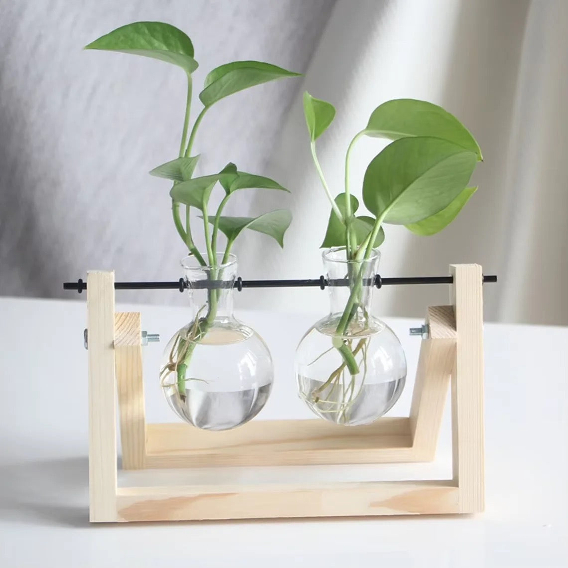 Test tube planter 05