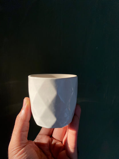 White ceramic planter