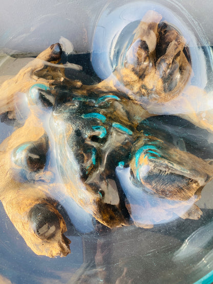 Molten Glass on polished teak Driftwood-Oceanbowl(large)