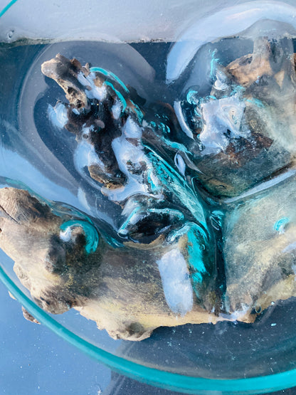 Molten Glass on polished teak Driftwood-Oceanbowl(large)