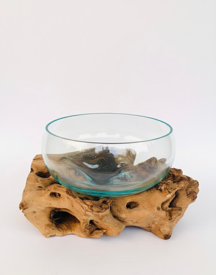 Molten Glass on teak Driftwood-Oceanbowl(large)