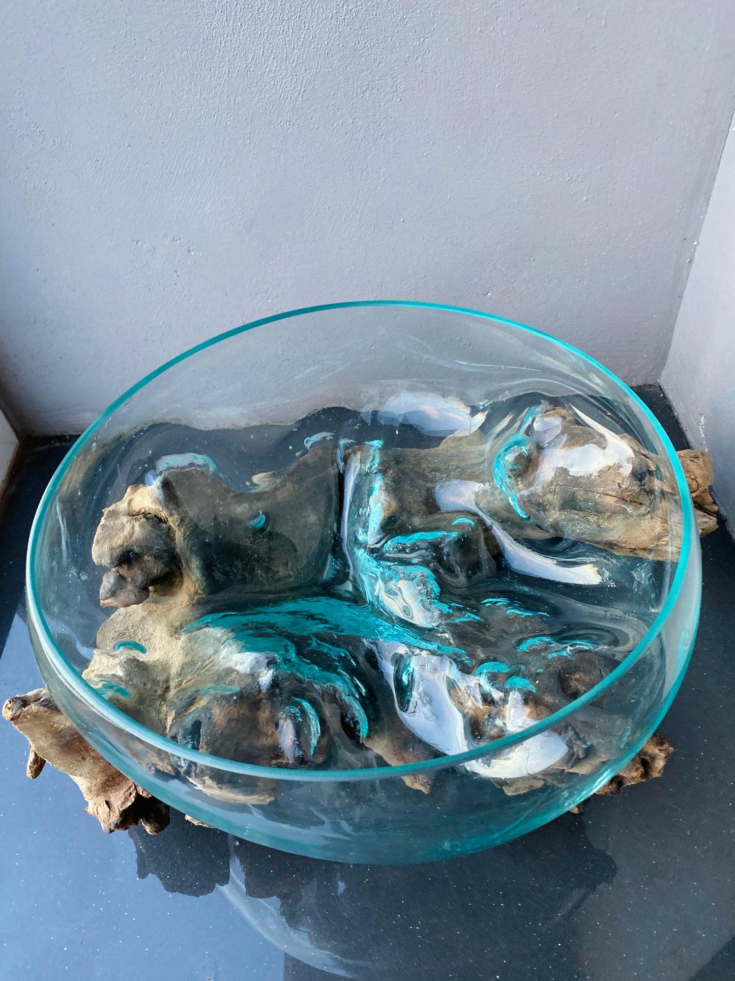 Molten Glass on polished teak Driftwood-Oceanbowl(medium)