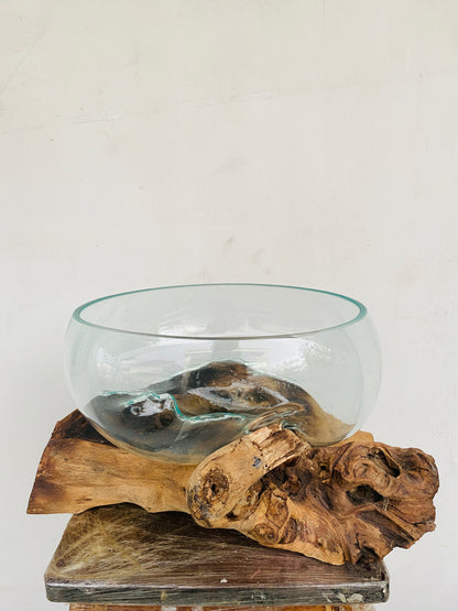 Molten Glass on polished teak Driftwood-Oceanbowl(medium)