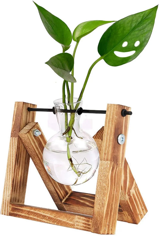 Test tube planter 03