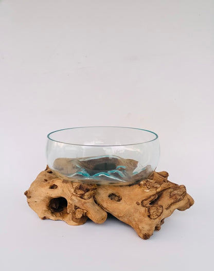 Molten Glass on teak Driftwood-Oceanbowl(large)