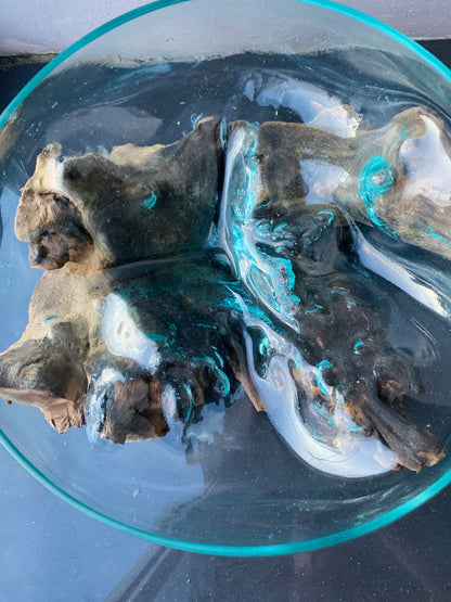 Molten Glass on polished teak Driftwood-Oceanbowl(medium)