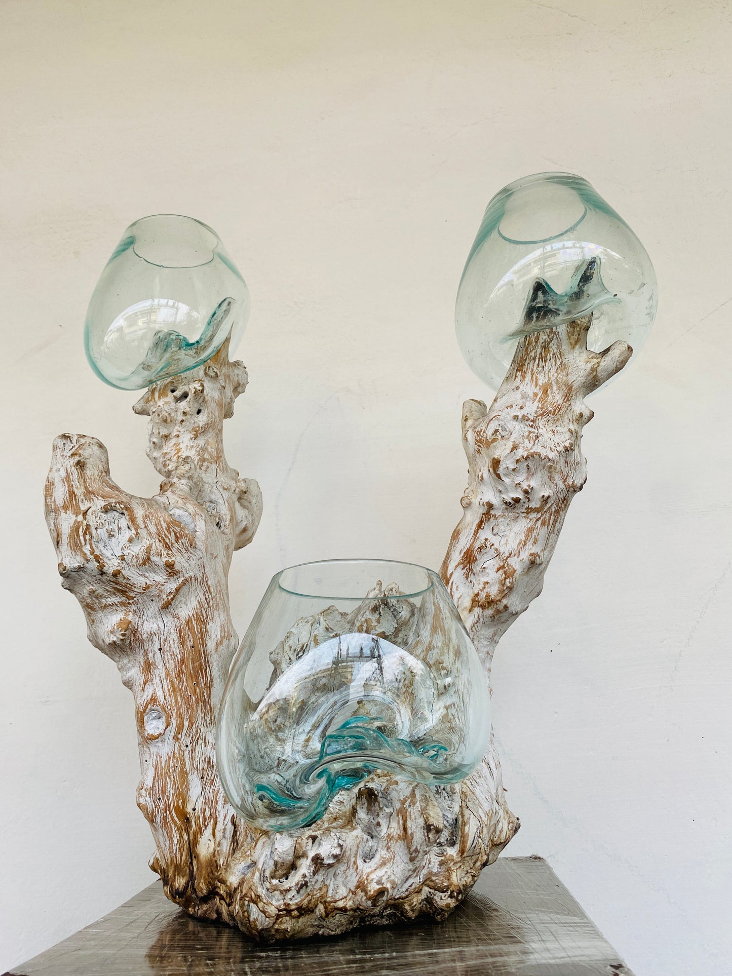 Triple handmade Molten Glass bowl on Driftwood base(limited rare edition)