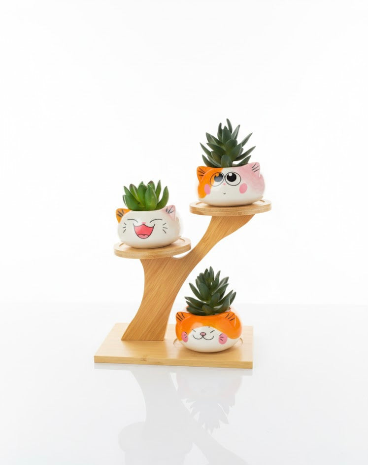 3 Cute Cat Ceramic Planters with Artificial Succulents & Diy Wooden Stand for Desk, Home & Office Table Decoration Gift Set