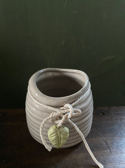 Grey leaf hanging planter
