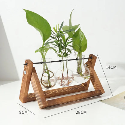 Test tube planter 06