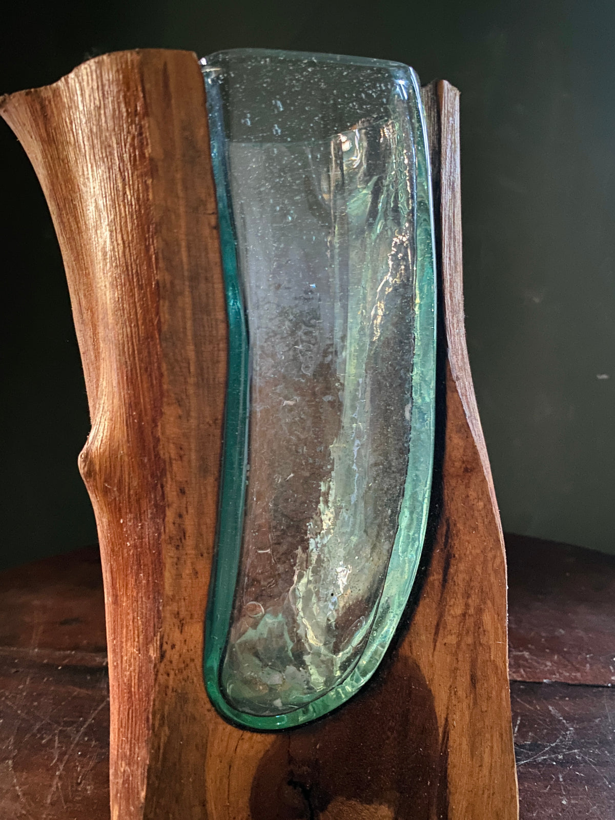 Small Molten Glass on natural Driftwood-forestwall