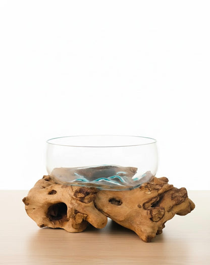 Molten Glass on teak Driftwood-Oceanbowl(large)