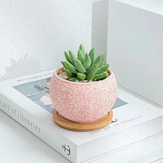 Pink ceramic planter