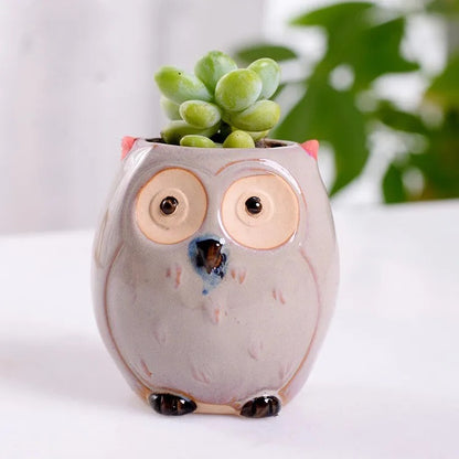 animal ceramic planter combos