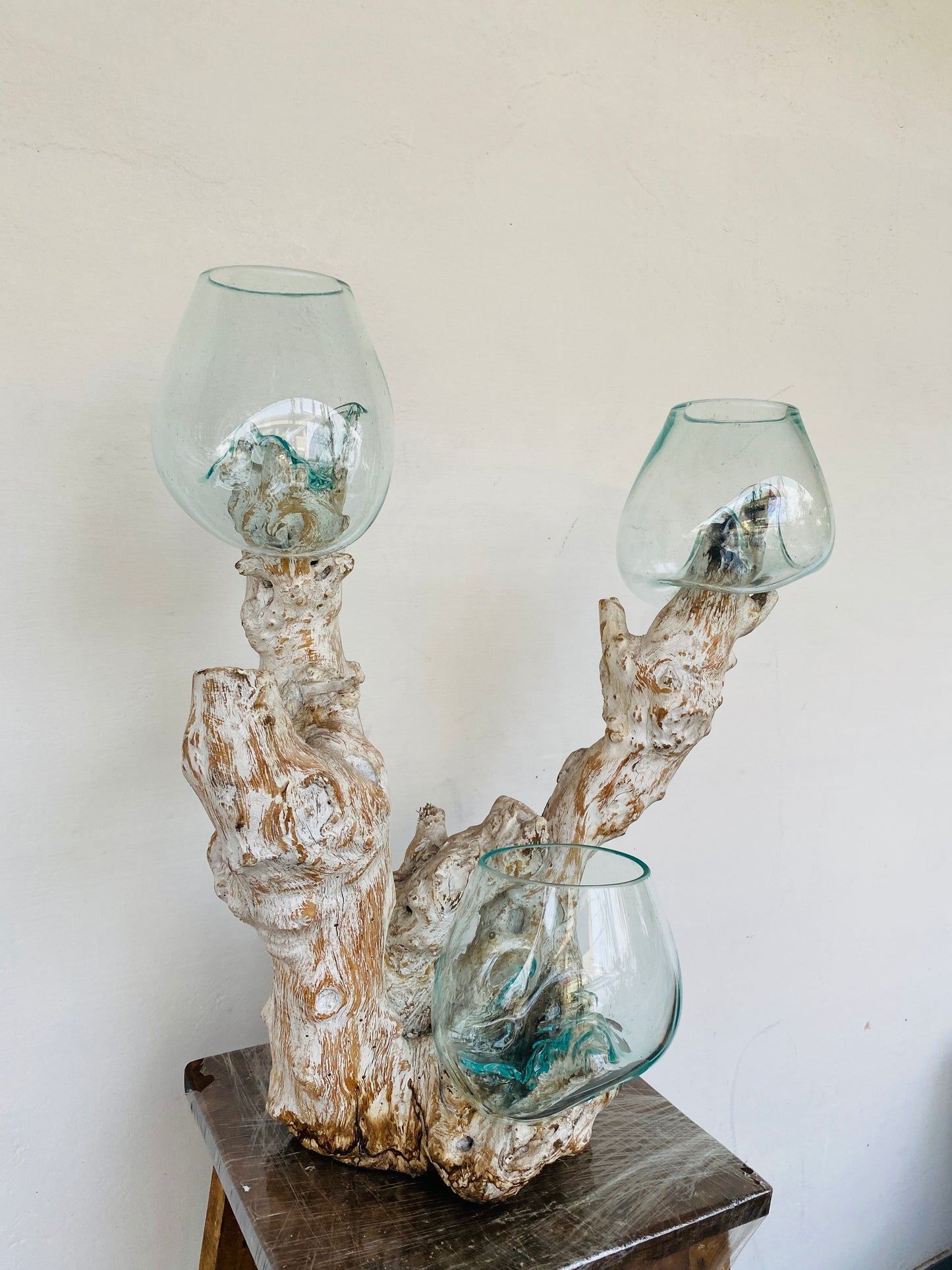 Triple handmade Molten Glass bowl on Driftwood base(limited rare edition)