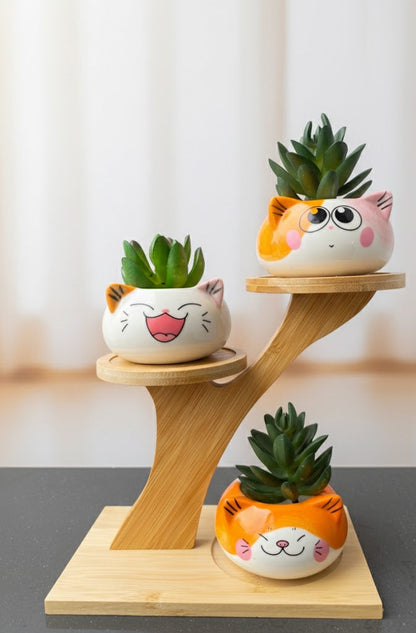 3 Cute Cat Ceramic Planters with Artificial Succulents & Diy Wooden Stand for Desk, Home & Office Table Decoration Gift Set