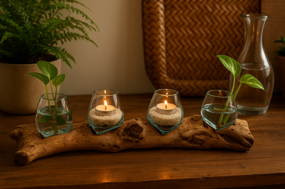 Four Molten Glass on Driftwood base(Pre-order)