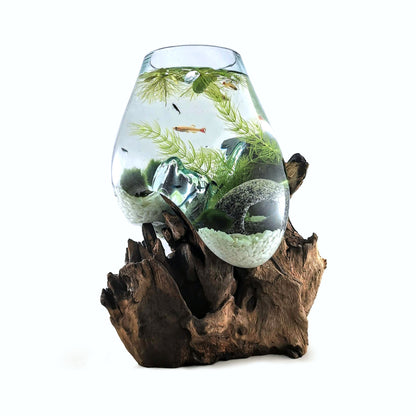 Molten Glass on teak Driftwood-Wavecrest
