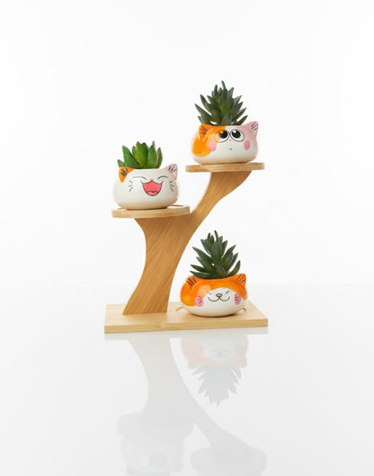3 Cute Cat Ceramic Planters with Artificial Succulents & Diy Wooden Stand for Desk, Home & Office Table Decoration Gift Set