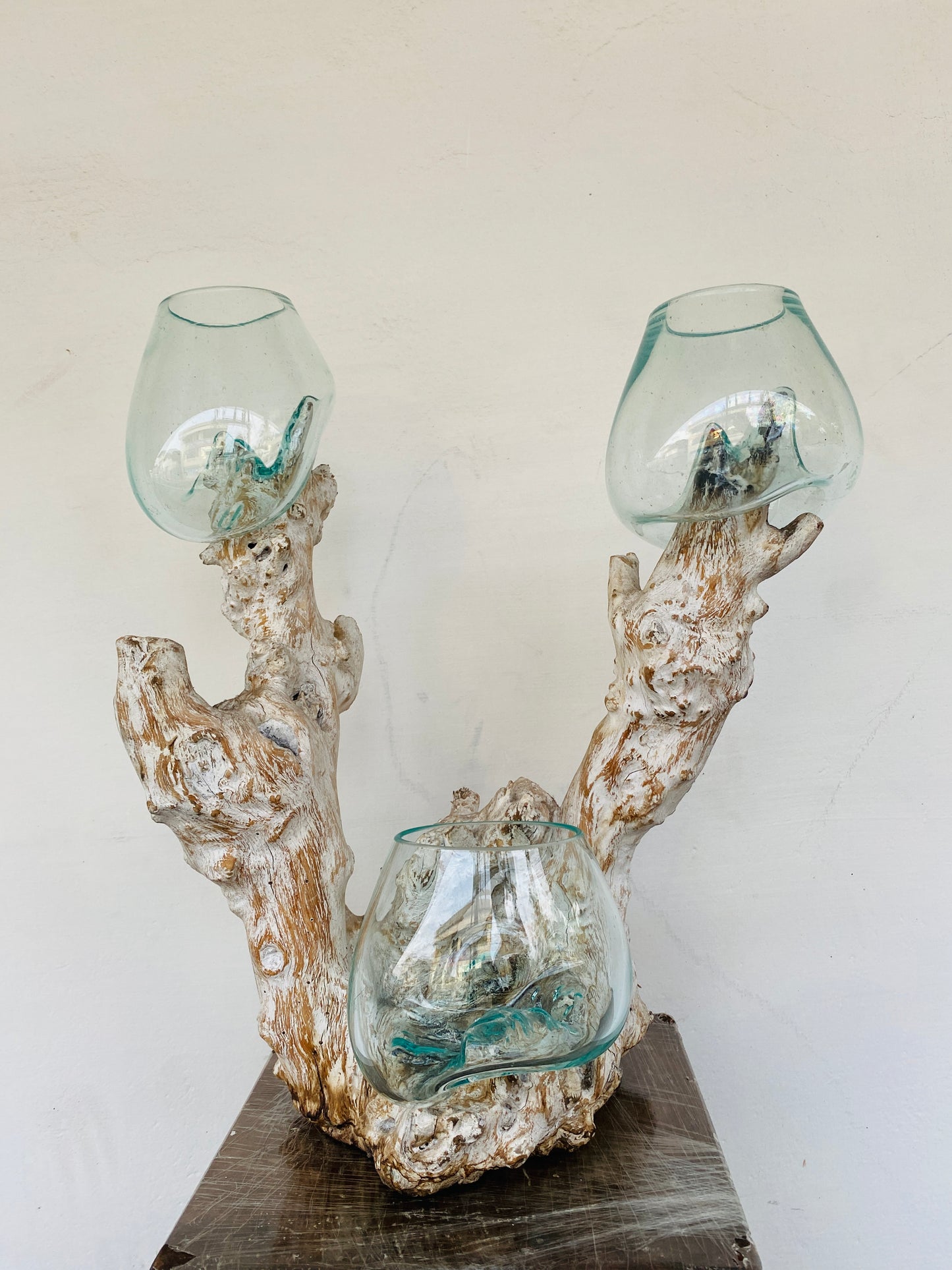 Triple handmade Molten Glass bowl on Driftwood base(limited rare edition)