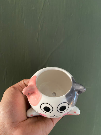 Cat ceramic planter