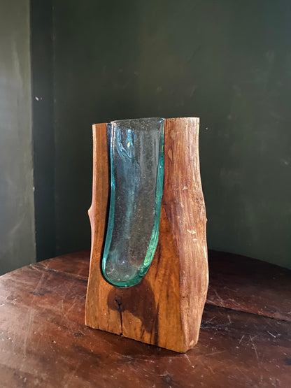 Small Molten Glass on natural Driftwood-forestwall