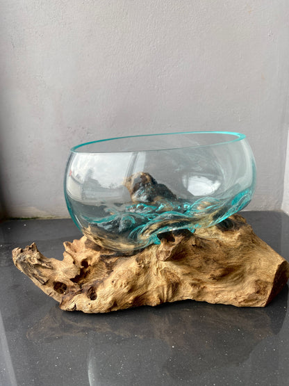 Molten Glass on polished teak Driftwood-Oceanbowl(small)