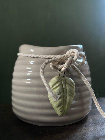 Grey leaf hanging planter