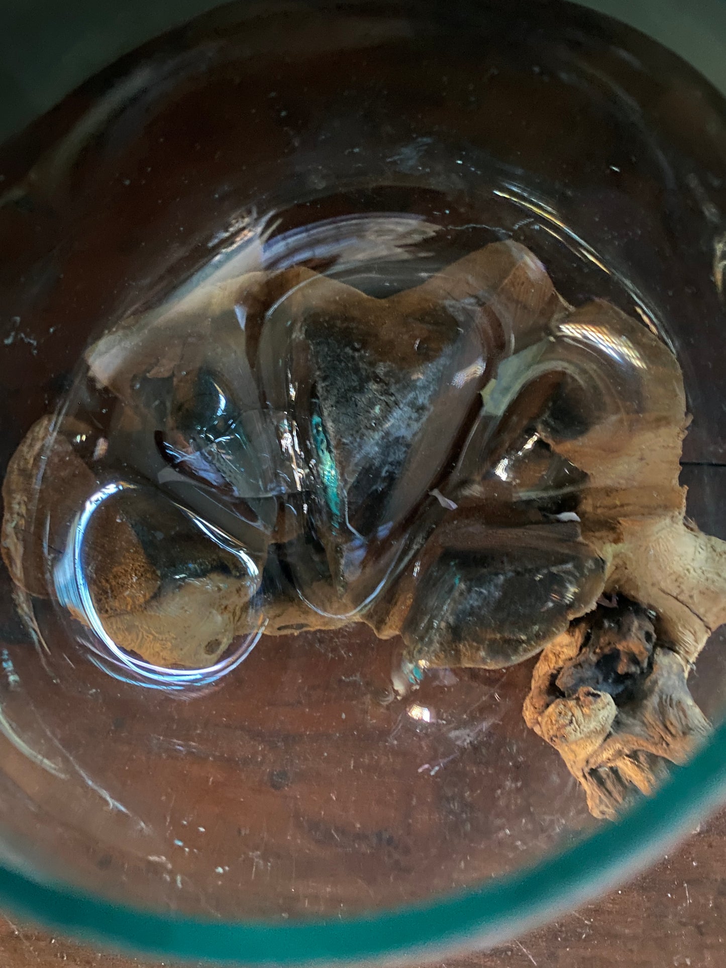 Wavecrest Molten Glass on Driftwood-Model 14