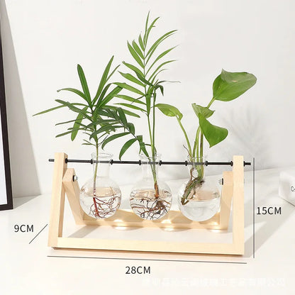 Test tube planter 07