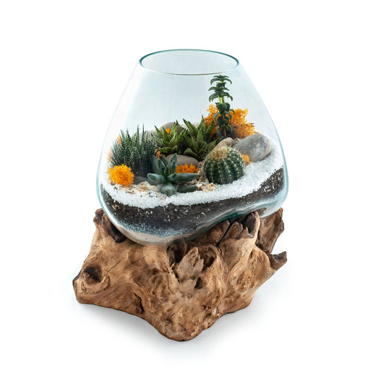 Molten Glass on polished teak Driftwood-Wavecrest