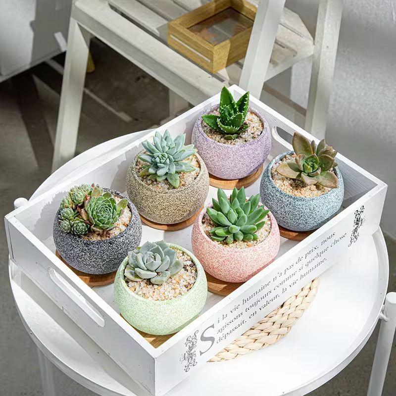 Lavender textured ceramic planter