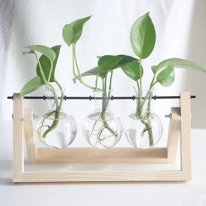 Test tube planter 07